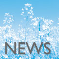 News-TN-biofuels